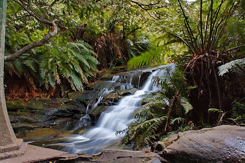 2009-11-06 22-05-37_1.jpg - zunächst gings in die Blue Montains zu Sue ins "Toulon House" (Hier die "Leura Falls")